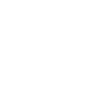 car-icon